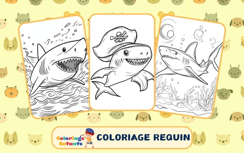 Coloriage Requin