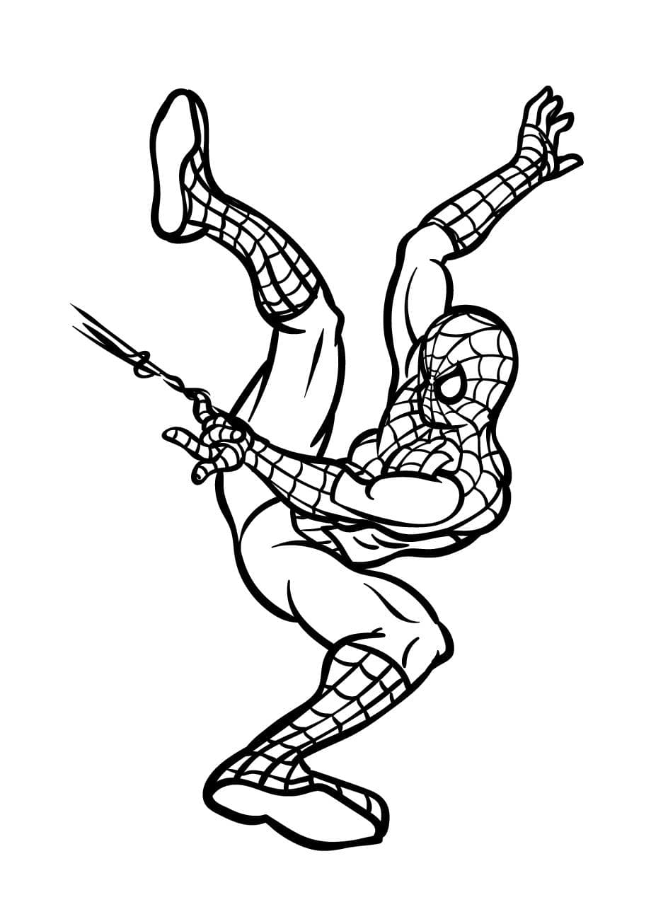 Coloriage Spidey Creatif Sans Limite