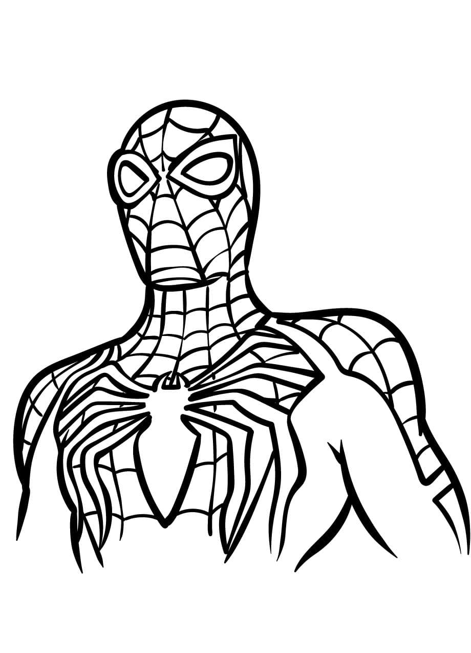 Coloriage Spidey Developpement Cognitif