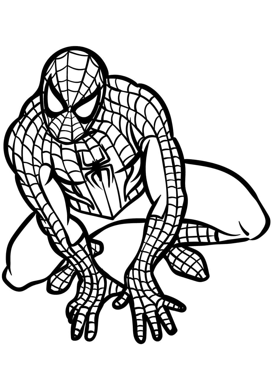 Coloriage Spidey Pour Enfant Facile