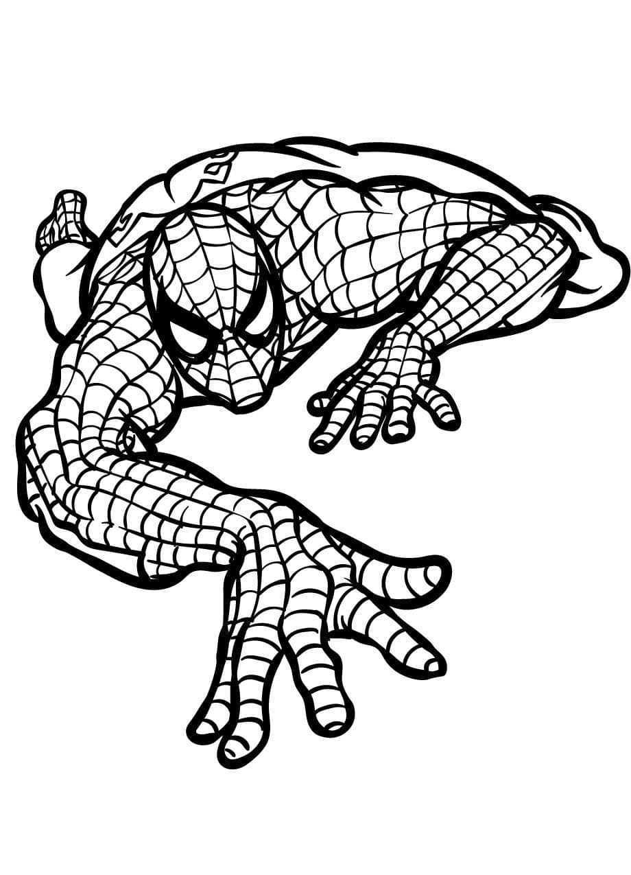 Coloriage Spidey Pour Enfant Gratuit