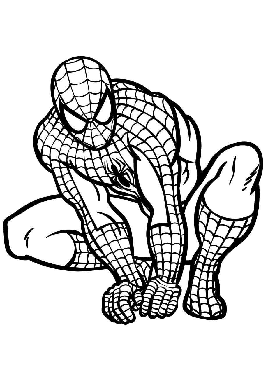 Coloriage Spidey Pour Enfants Aimant Dessins Animes