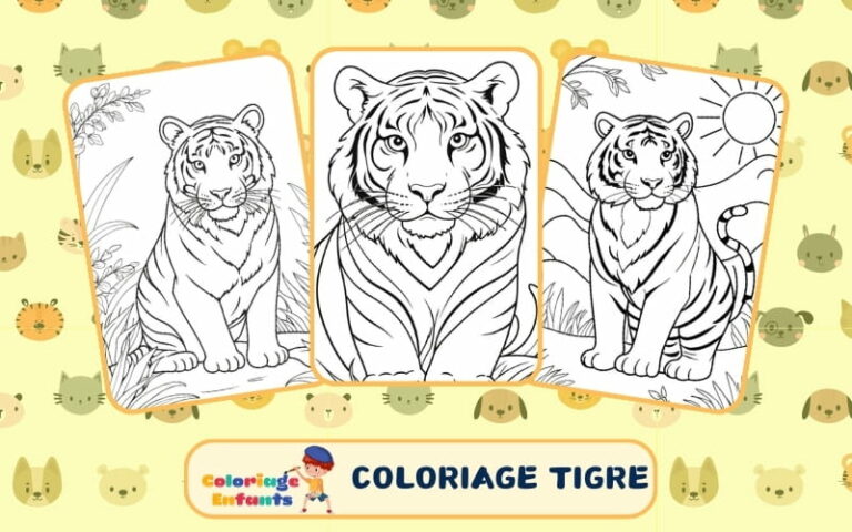 Coloriage Tigre