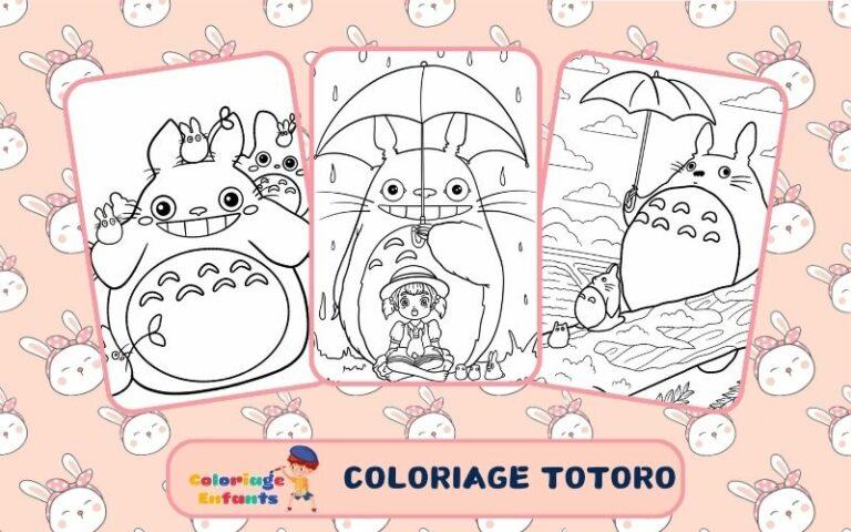 Coloriage Totoro