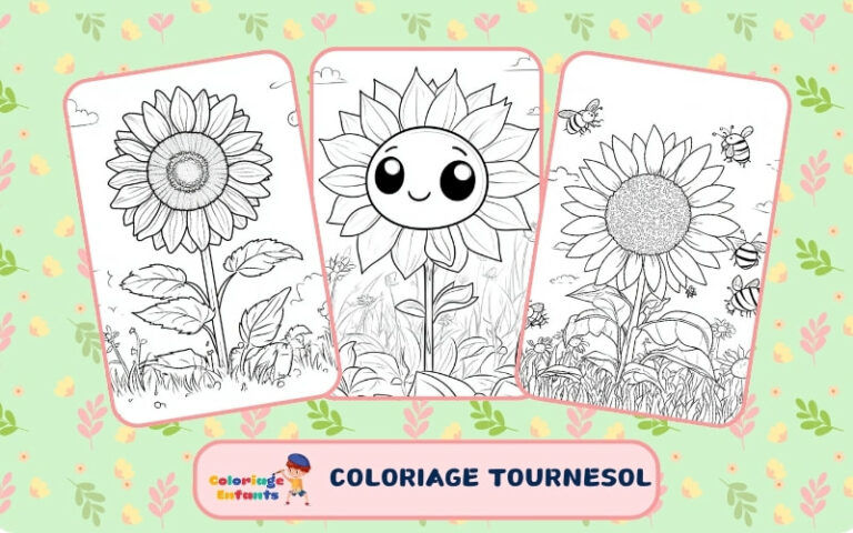 Coloriage Tournesol