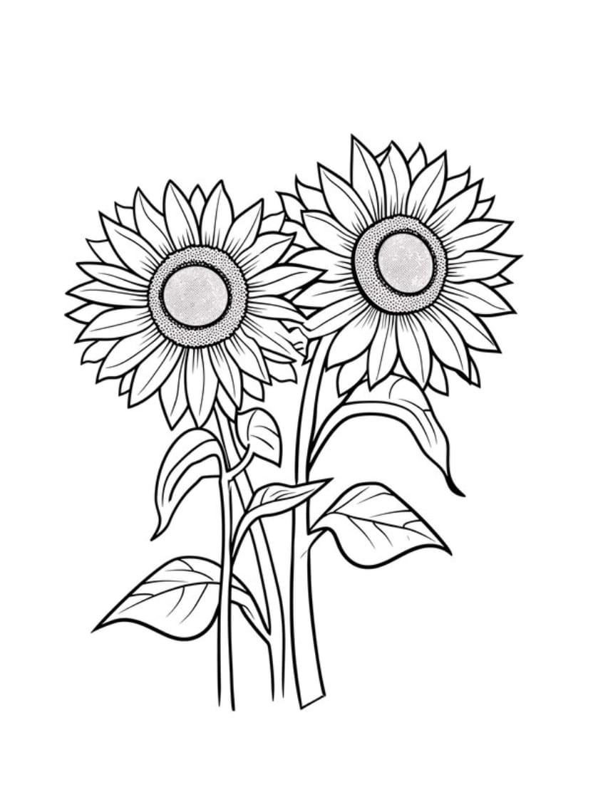 Coloriage Tournesol A Imprimer