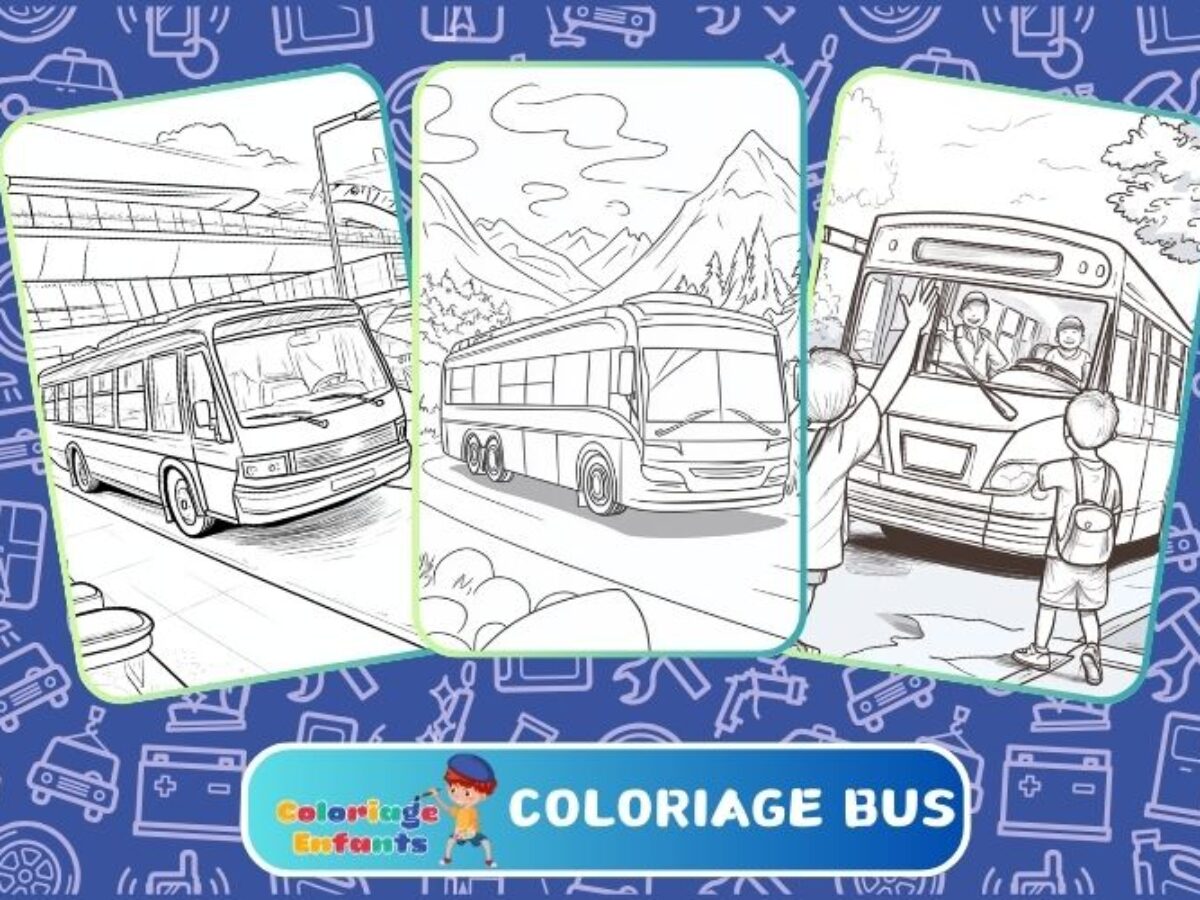 Guía de Transporte Turístico 2021, image size:1200x900