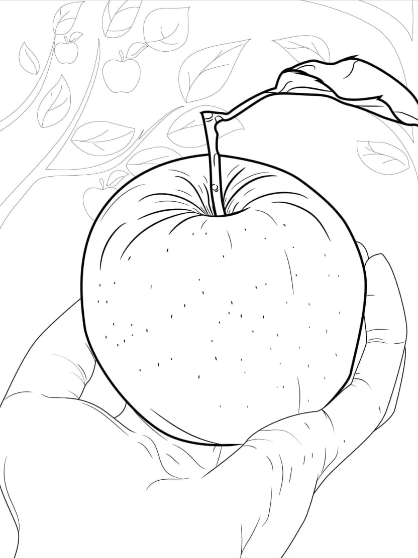 Coloriage Pomme Parfait Pour Les Mains Petites Et Curieuses