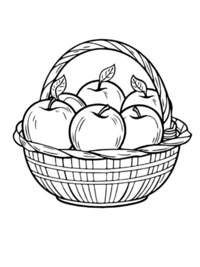 Coloriage Pomme Pour Decouvrir La Beaute Naturelle