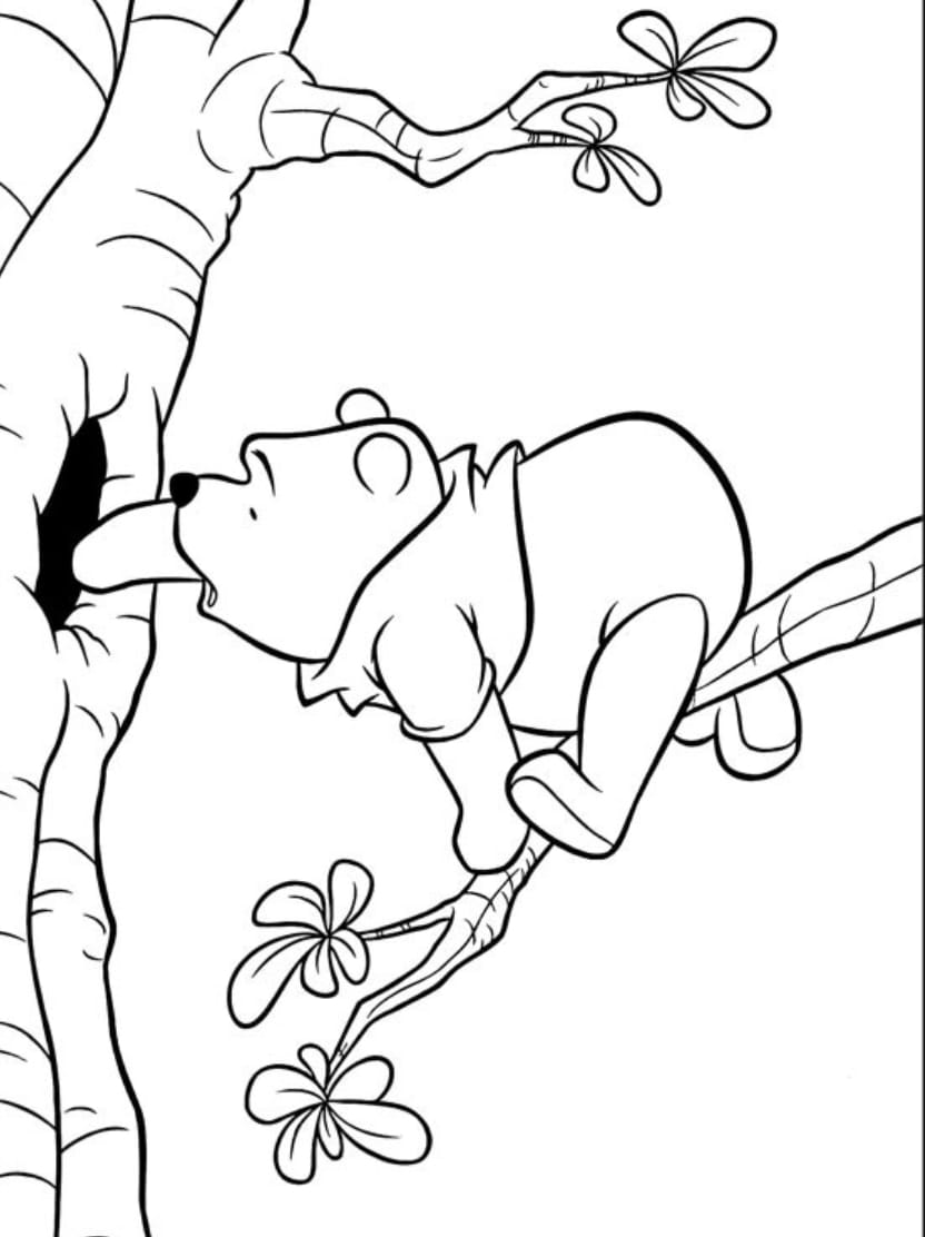 Coloriage Winnie L Ourson Sur Arbre