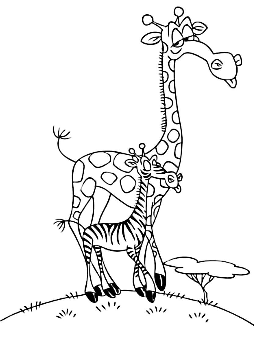 Coloriage Zoo Pour Debonner Le Talent Artistique