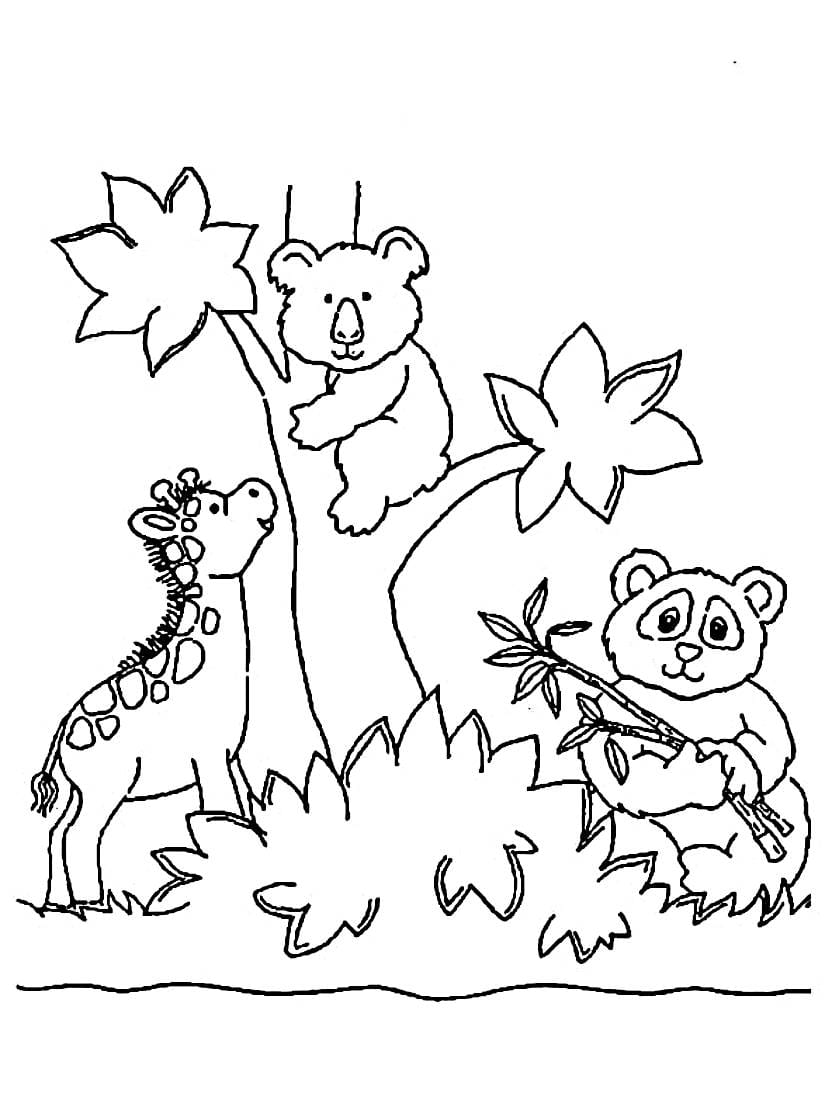 Dessin Coloriage Zoo Facile A Imprimer Pour Enfants