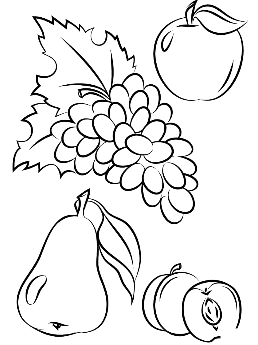 Coloriage Fruits Divers Libre Pour Les Enfants