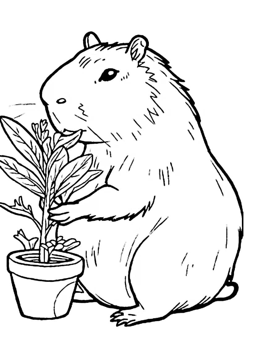 Coloriage Capybara Voyage De Dessin Inoubliable